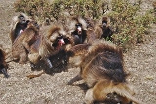 One of Shayna Liberman’s prize-winning photos chosen for exhibition at the University of Michigan International Institute’s photo Gallery. 